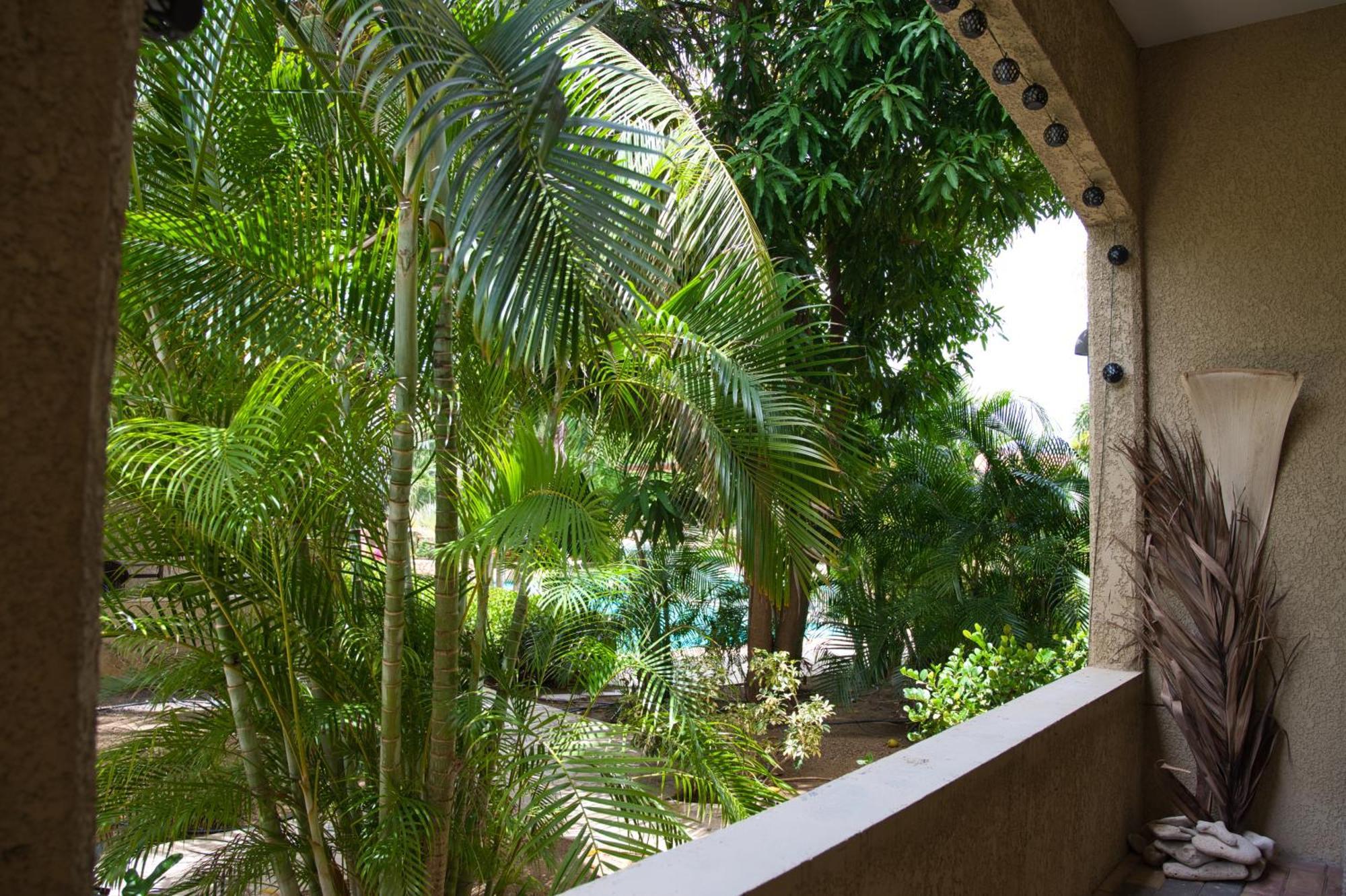 Apartamento Caribbean Happyness Willemstad Exterior foto